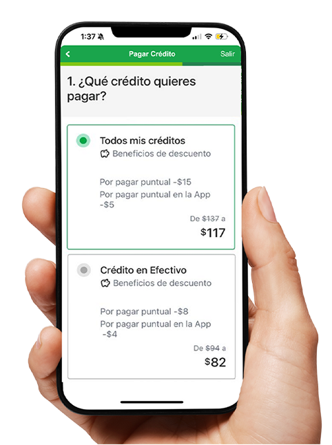 Pagos flexibles